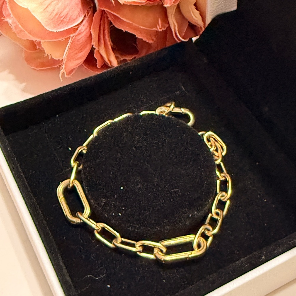 Pandora ME Link Chain Bracelet